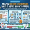 Amazon Section 3 Suspension-What It Means and How to Appeal-Post
